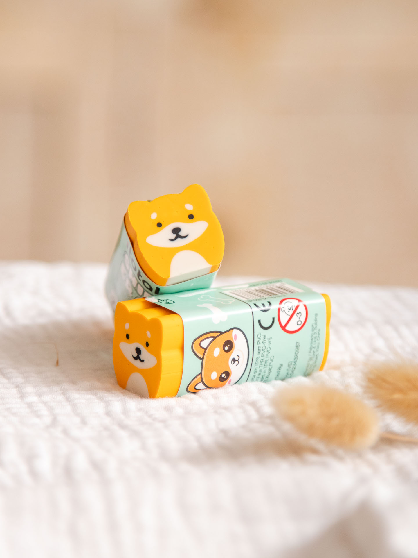 Image illustrative de l'article "Gomme – Shiba"