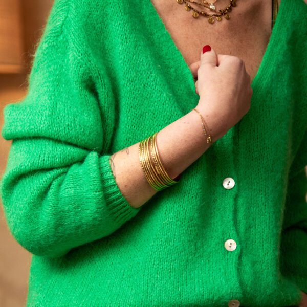 Image illustrative de l'article "Gilet vert FRIDA"