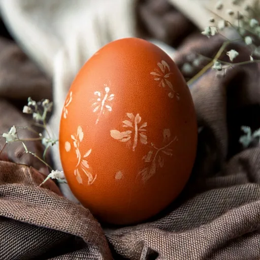 image de 🎉 20% de remise sur tout le site sans minimum d'achat