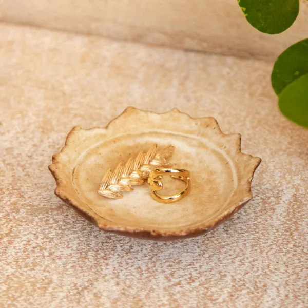 Image illustrative de l'article "coupelle marron"