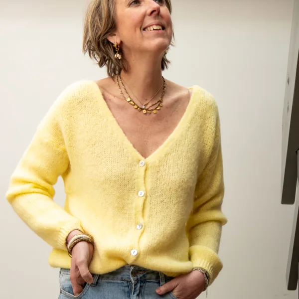 Image illustrative de l'article "Gilet maille jaune LOLA"