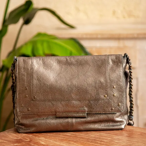 Image illustrative de l'article "Sac anaconda gunmetal FELIZIA"