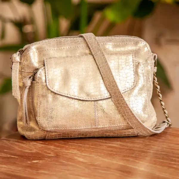 Image illustrative de l'article "Sac gold turtle NAINA"