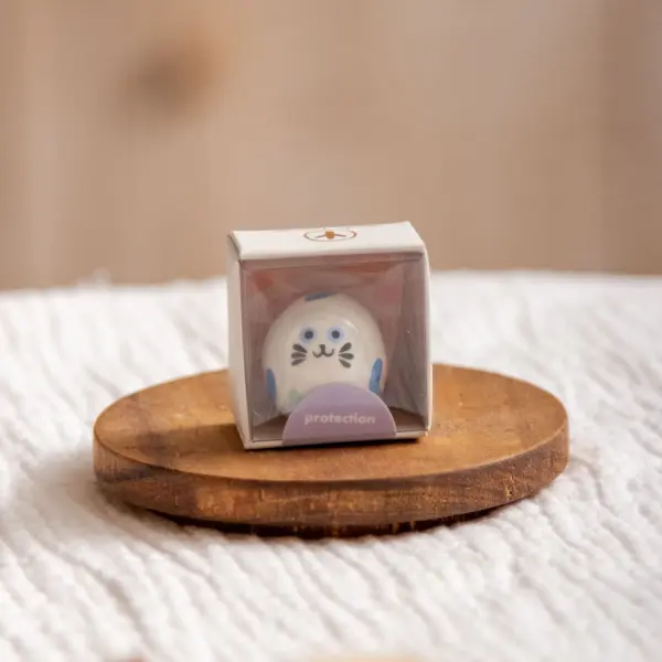 Image illustrative de l'article "Mini grigri Protection"