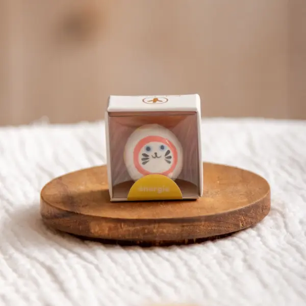 Image illustrative de l'article "Mini grigri Energie"