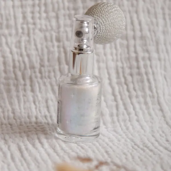 Image illustrative de l'article "Spray Poudre Pailletée – Argent"