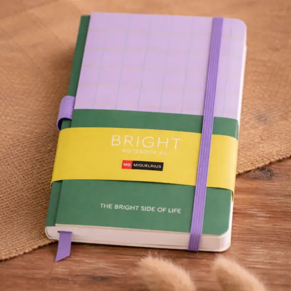 Image illustrative de l'article "Carnet A5 pointé vert bright"