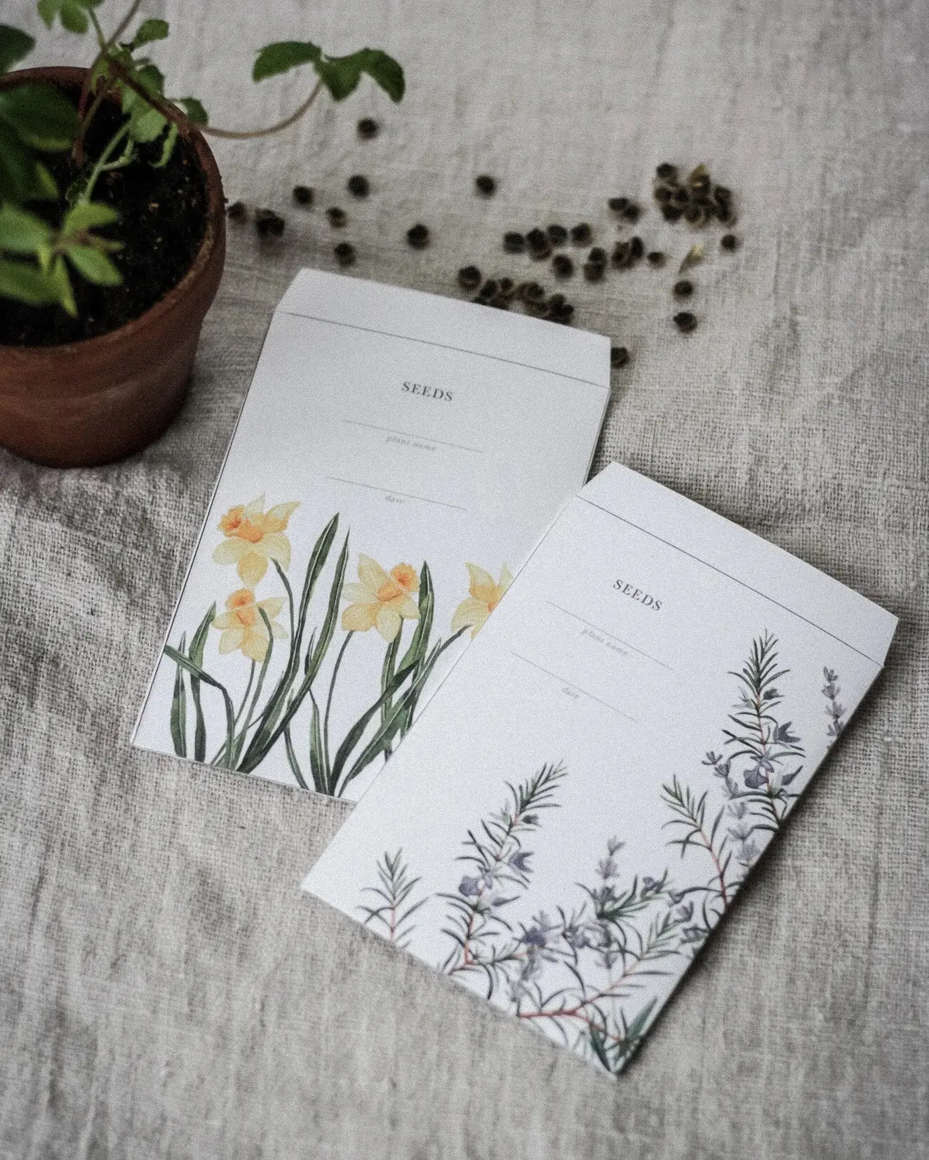 Image illustrative de la marque "La fabrique à sachets"